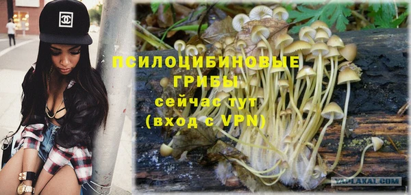 каннабис Абаза