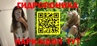 соль ск Будённовск