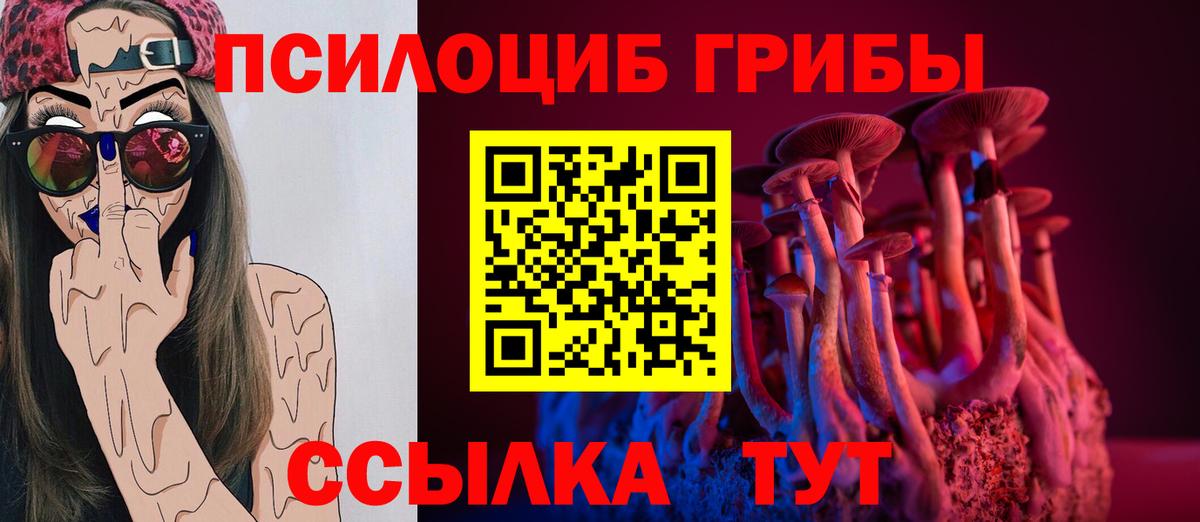 Галлюциногенные грибы Cubensis Кострома